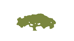 DeFranco Landscaping - SynkedUP user