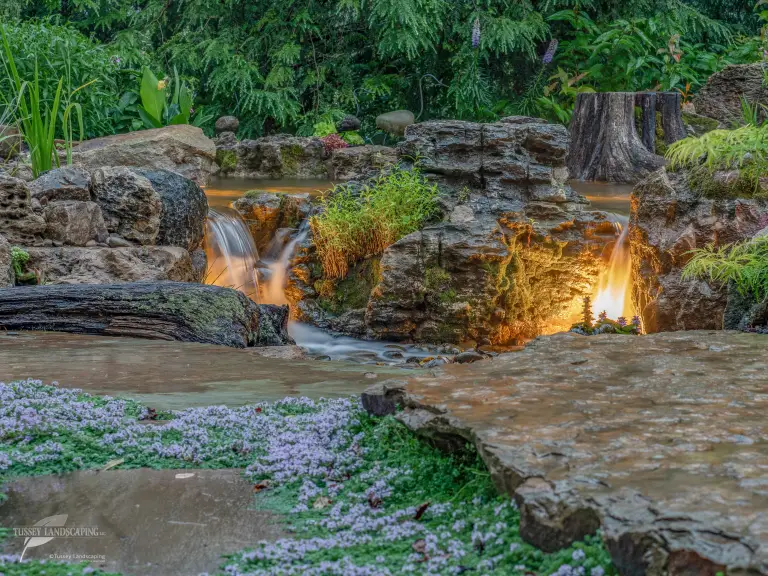 aquascape artist of the year award 768x576 1 1