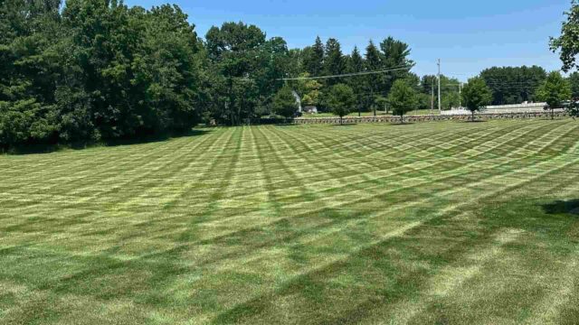 Software for landscape maintenance company