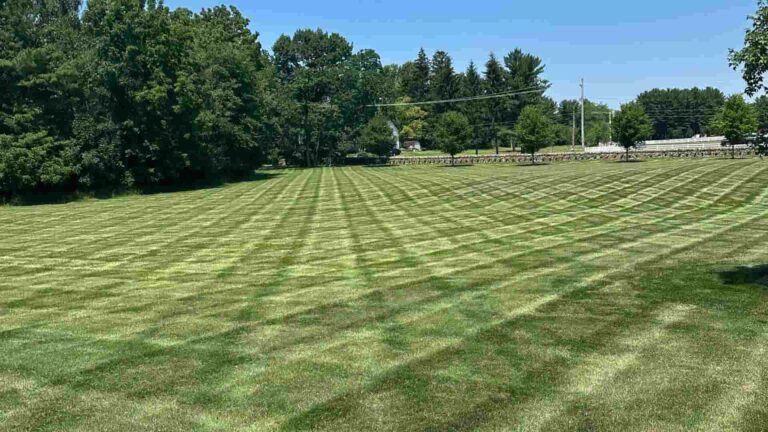 Software for landscape maintenance company